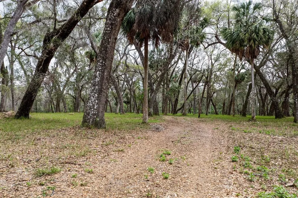 0 FOREST  02, #2, SE 150TH STREET Umatilla, FL 32784