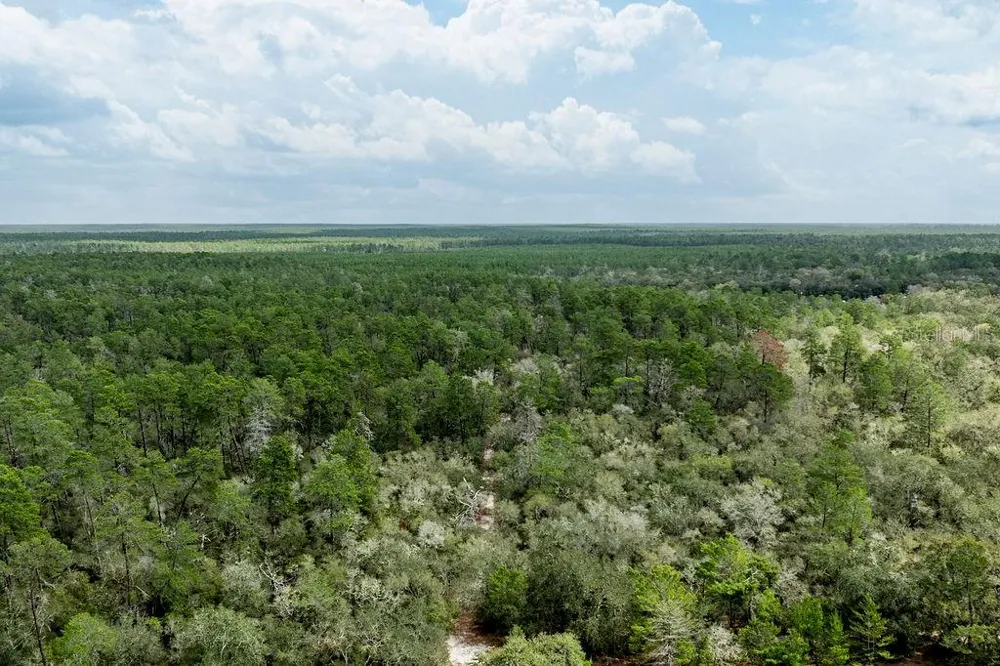 0 FOREST  02, #2, SE 150TH STREET Umatilla, FL 32784