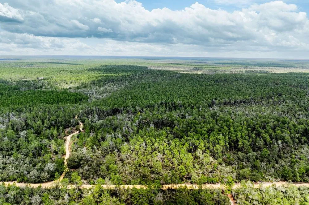 0 FOREST  02, #2, SE 150TH STREET Umatilla, FL 32784