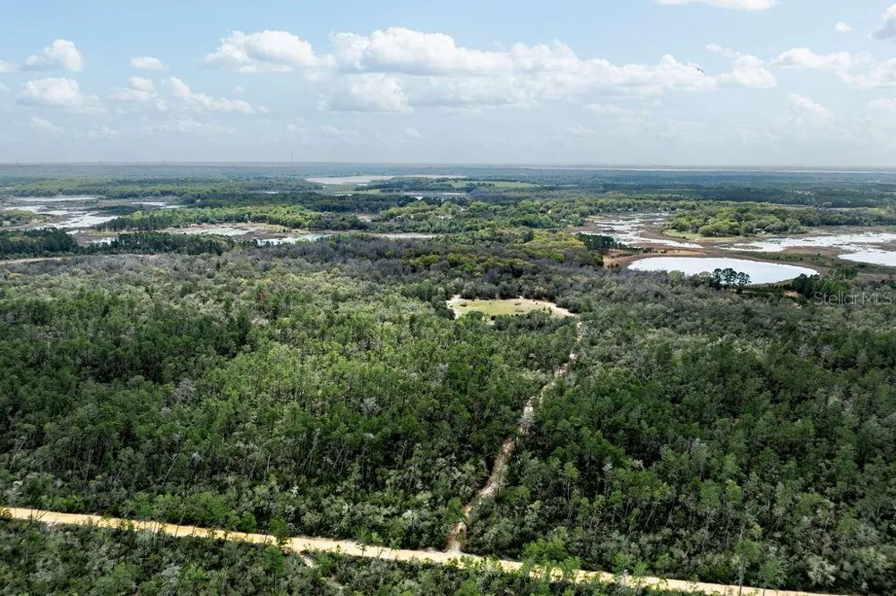 0 FOREST  02, #2, SE 150TH STREET Umatilla, FL 32784