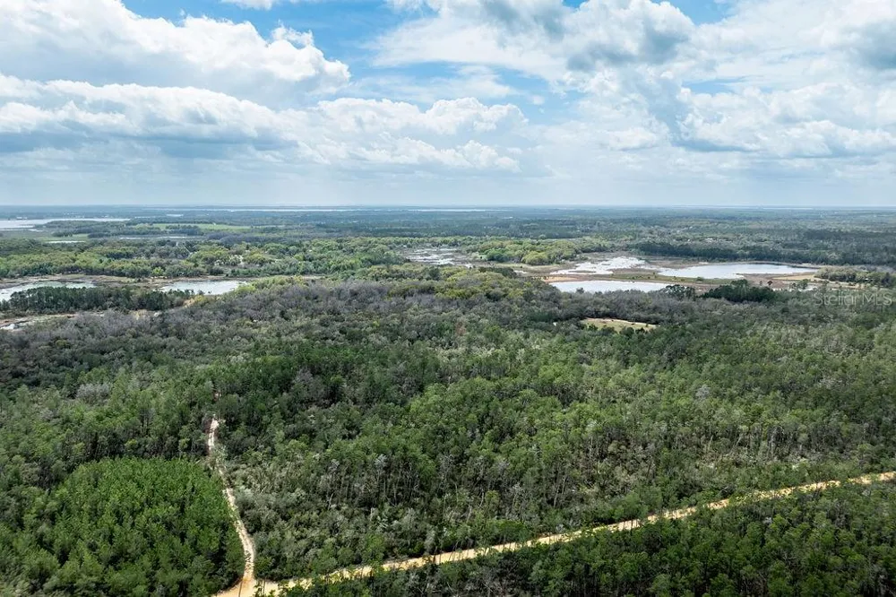 0 FOREST  02, #2, SE 150TH STREET Umatilla, FL 32784