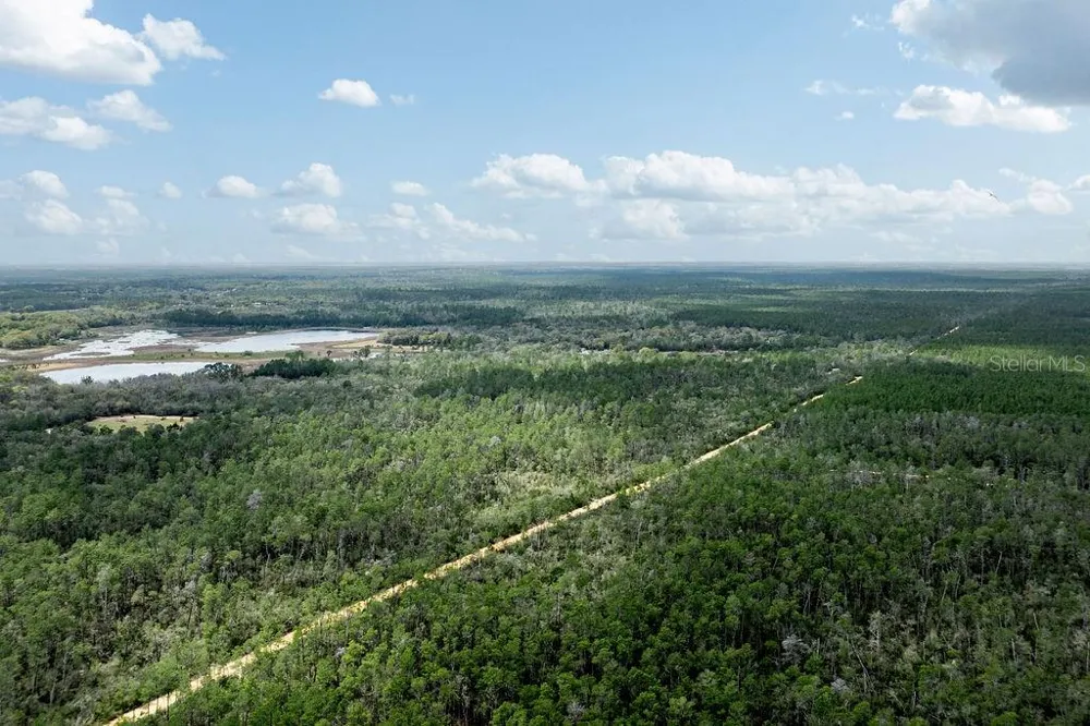 0 FOREST  02, #2, SE 150TH STREET Umatilla, FL 32784