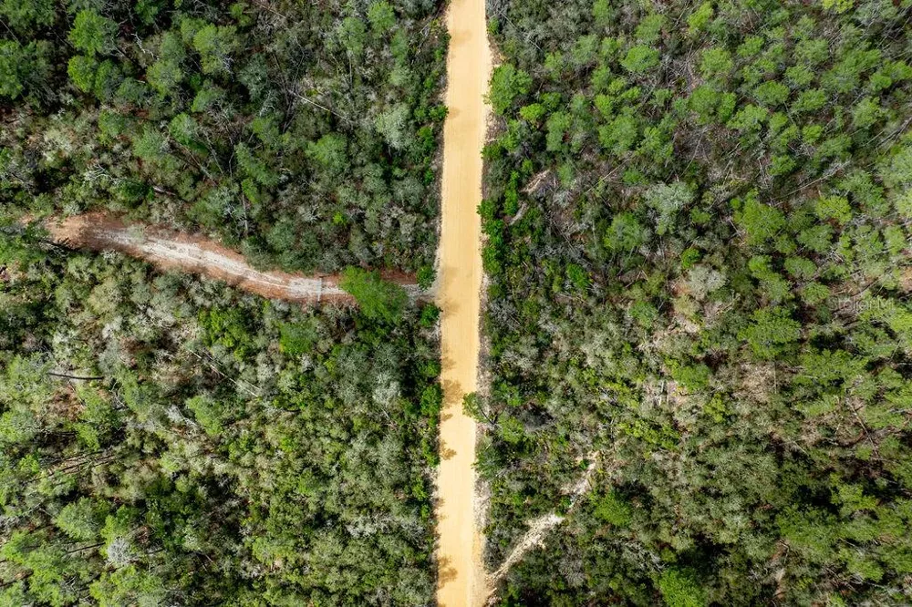 0 FOREST  02, #2, SE 150TH STREET Umatilla, FL 32784