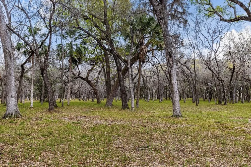 0 FOREST  02, #2, SE 150TH STREET Umatilla, FL 32784