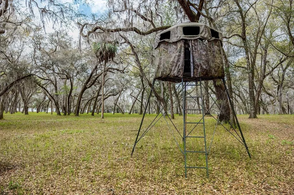 0 FOREST  02, #2, SE 150TH STREET Umatilla, FL 32784