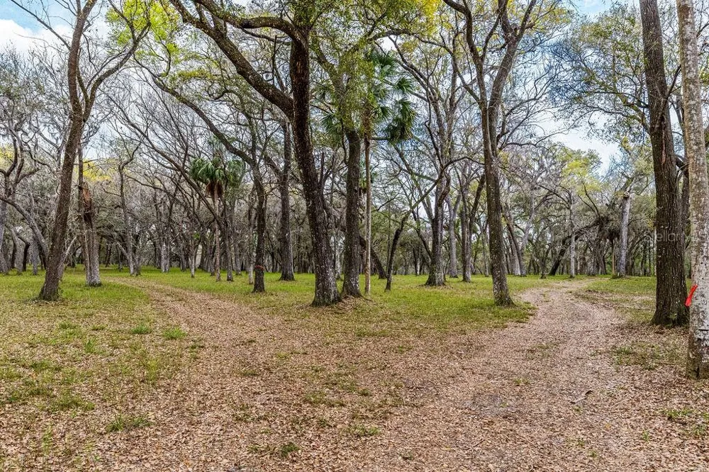 0 FOREST  02, #2, SE 150TH STREET Umatilla, FL 32784