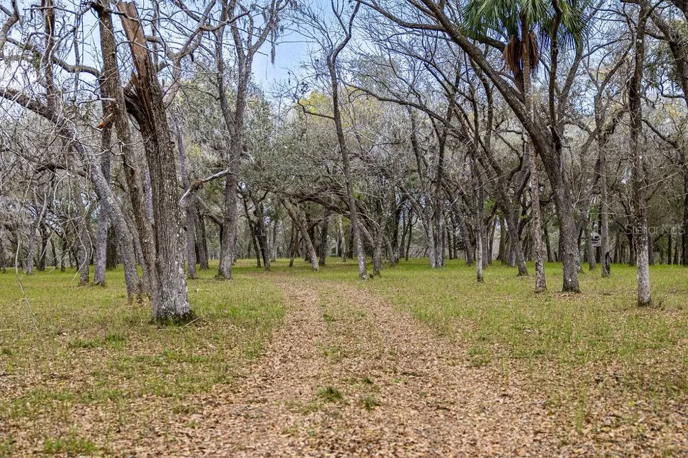 0 FOREST  02, #2, SE 150TH STREET Umatilla, FL 32784
