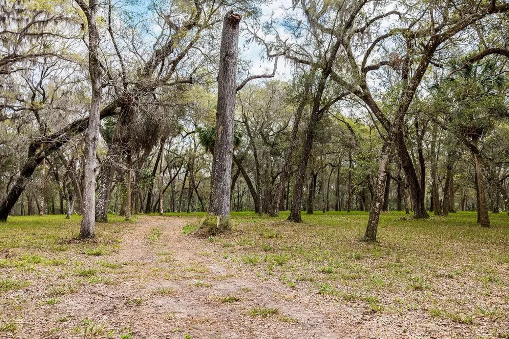 0 FOREST  02, #2, SE 150TH STREET Umatilla, FL 32784