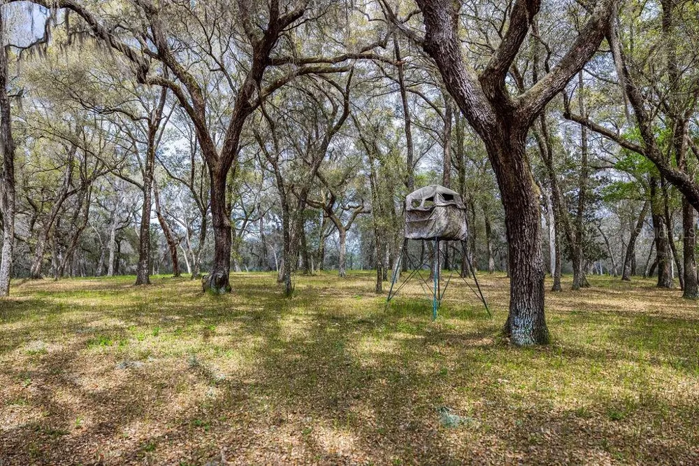 0 FOREST  02, #2, SE 150TH STREET Umatilla, FL 32784