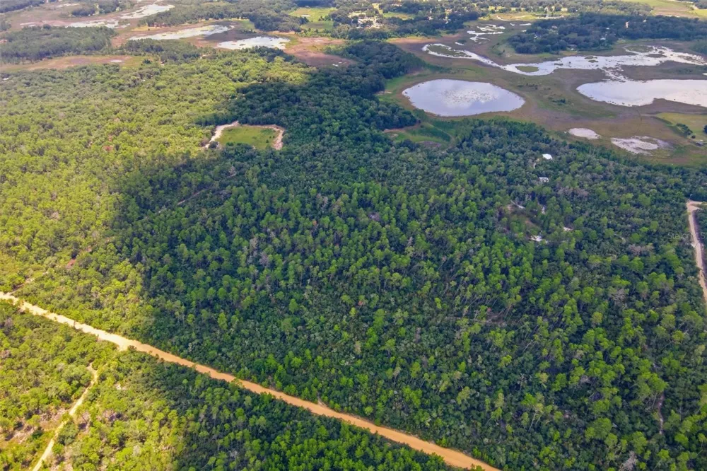 0 FOREST  02, #2, SE 150TH STREET Umatilla, FL 32784