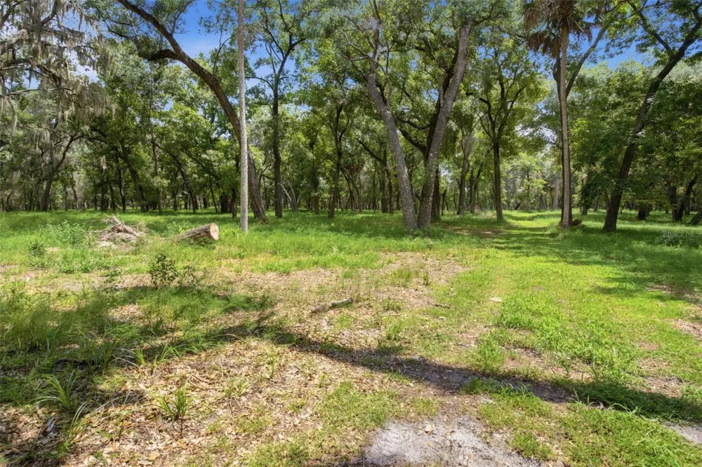 0 FOREST  02, #2, SE 150TH STREET Umatilla, FL 32784