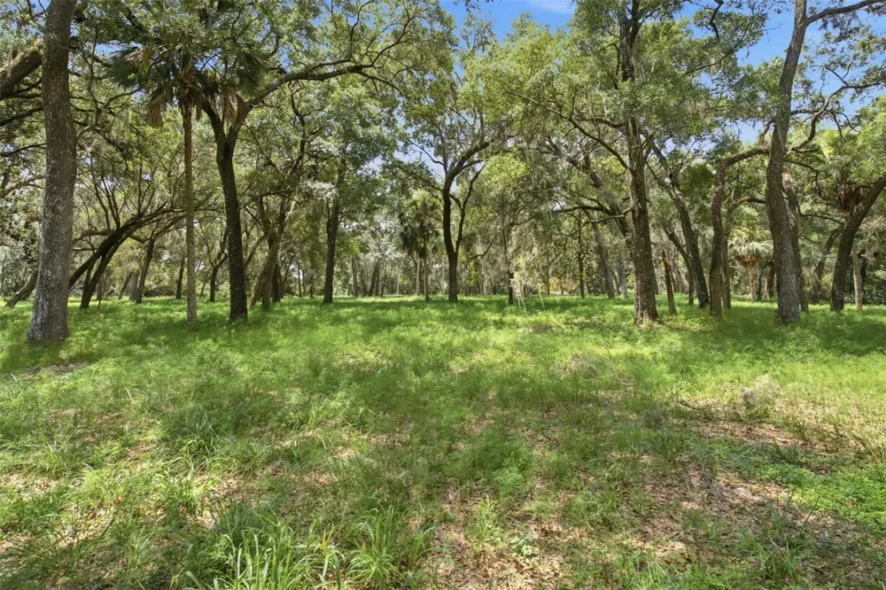 0 FOREST  02, #2, SE 150TH STREET Umatilla, FL 32784