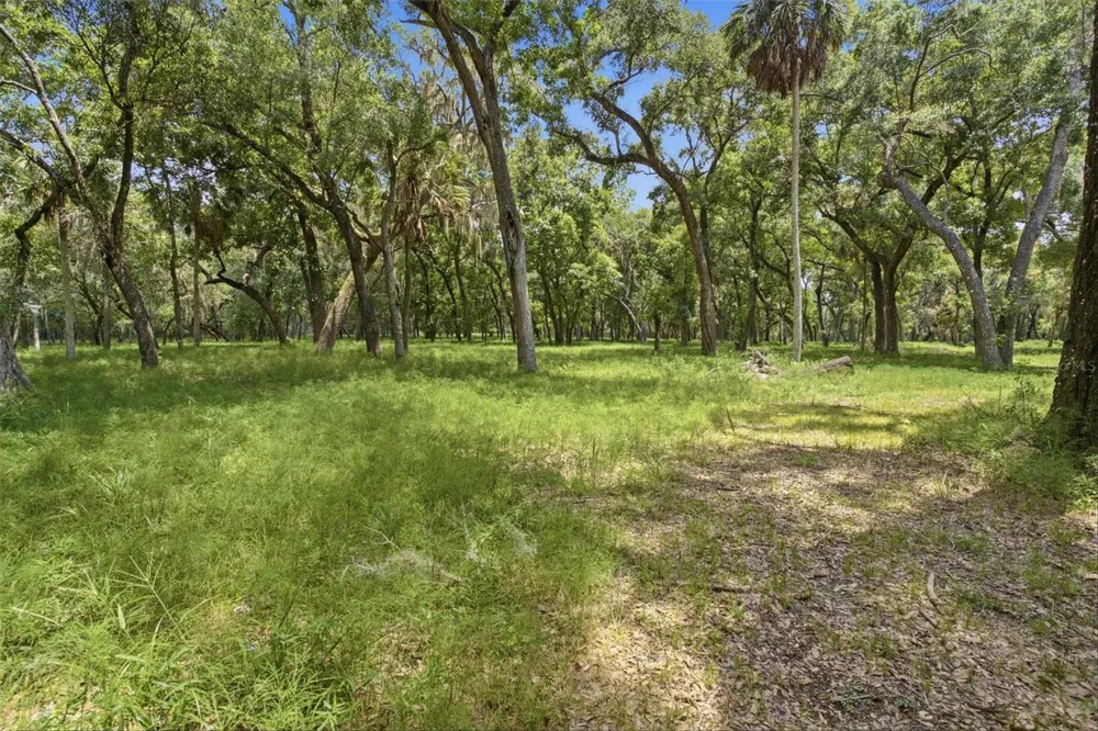0 FOREST  02, #2, SE 150TH STREET Umatilla, FL 32784