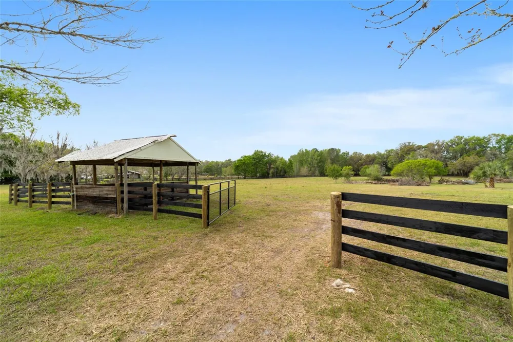 16638 HIGHWAY 329 Reddick, FL 32686