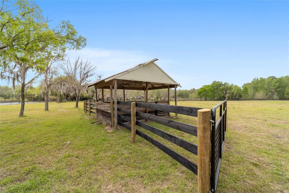 16638 HIGHWAY 329 Reddick, FL 32686