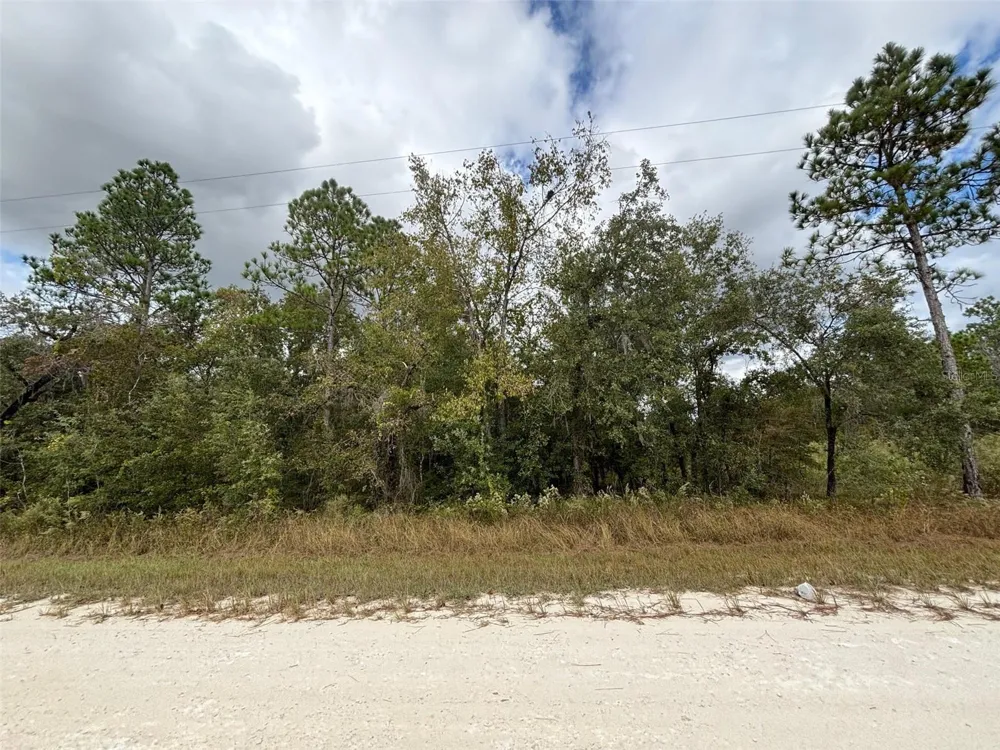 Lot 11 RED MARLIN AVENUE Weeki Wachee, FL 34614