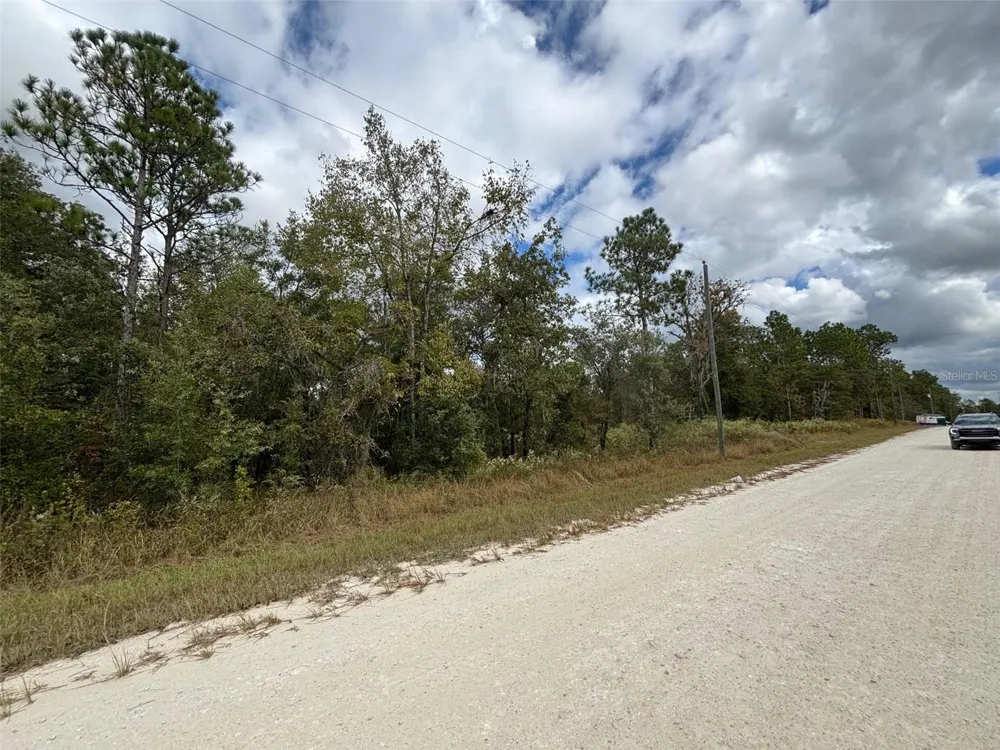 Lot 11 RED MARLIN AVENUE Weeki Wachee, FL 34614