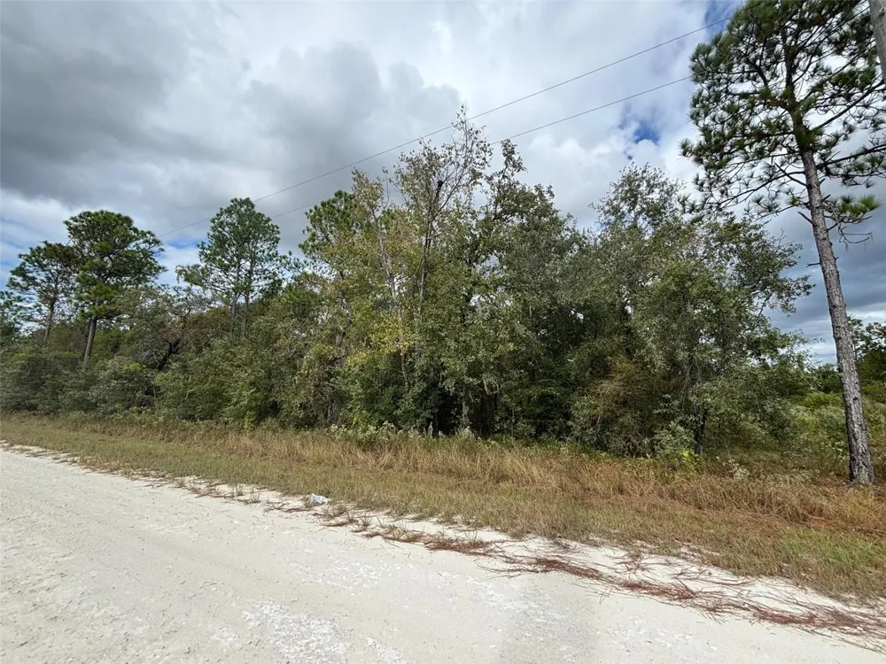 Lot 11 RED MARLIN AVENUE Weeki Wachee, FL 34614