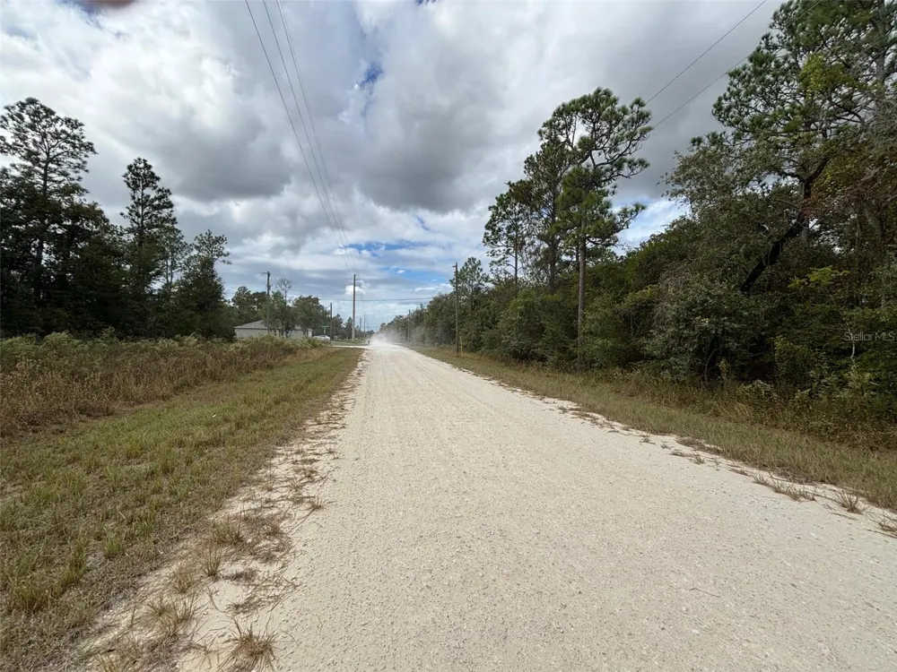 Lot 11 RED MARLIN AVENUE Weeki Wachee, FL 34614