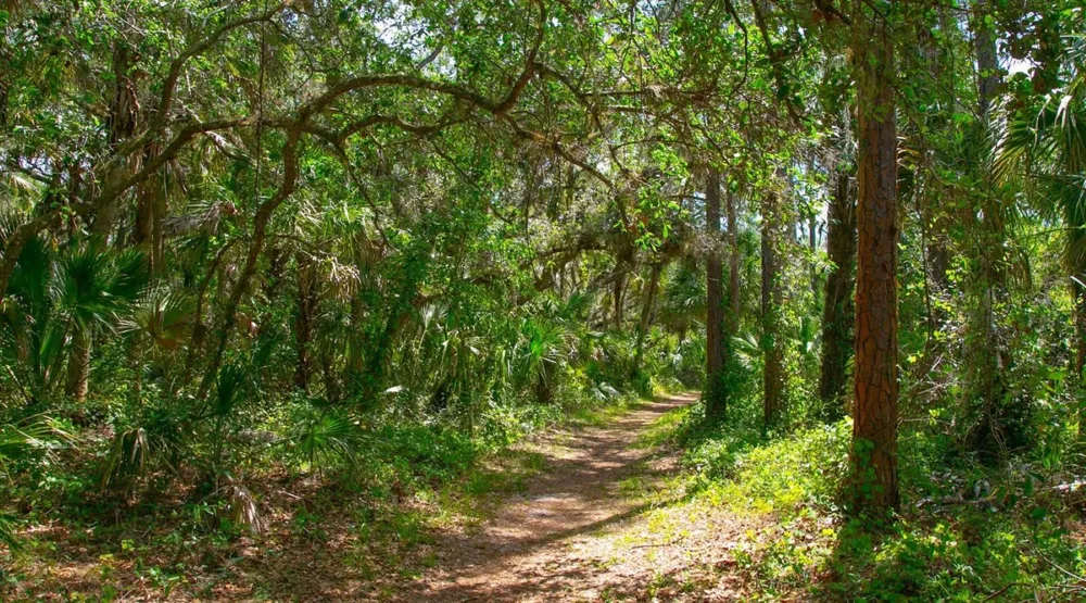 3864 CHATSWORTH GREENE COURT #10 Sarasota, FL 34235