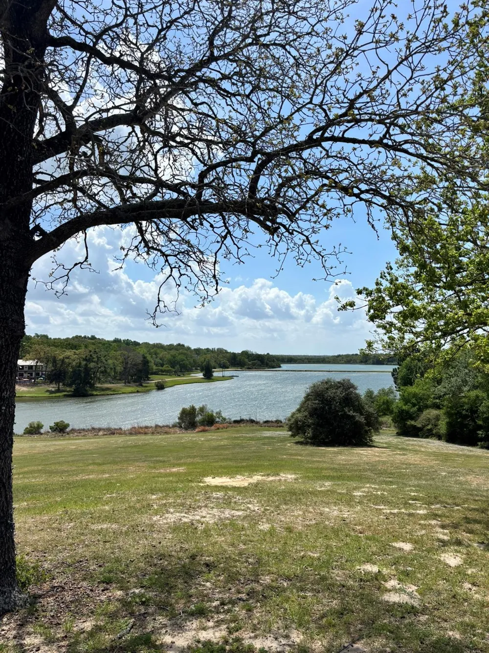 Holly Springs Drive Hilltop Lakes, TX 77871