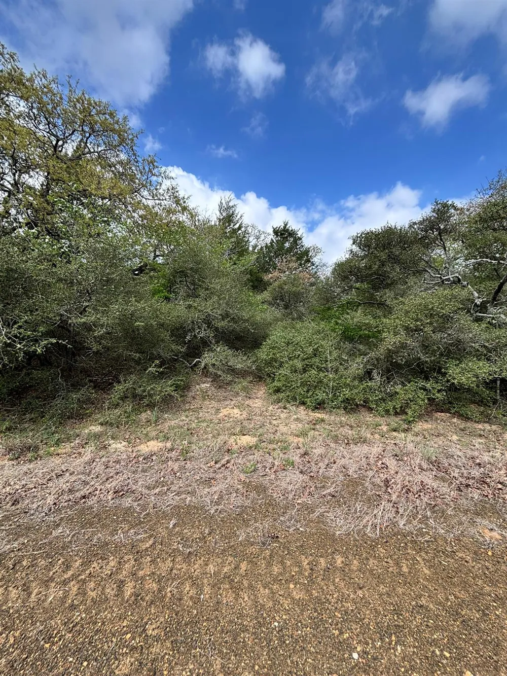 Holly Springs Drive Hilltop Lakes, TX 77871