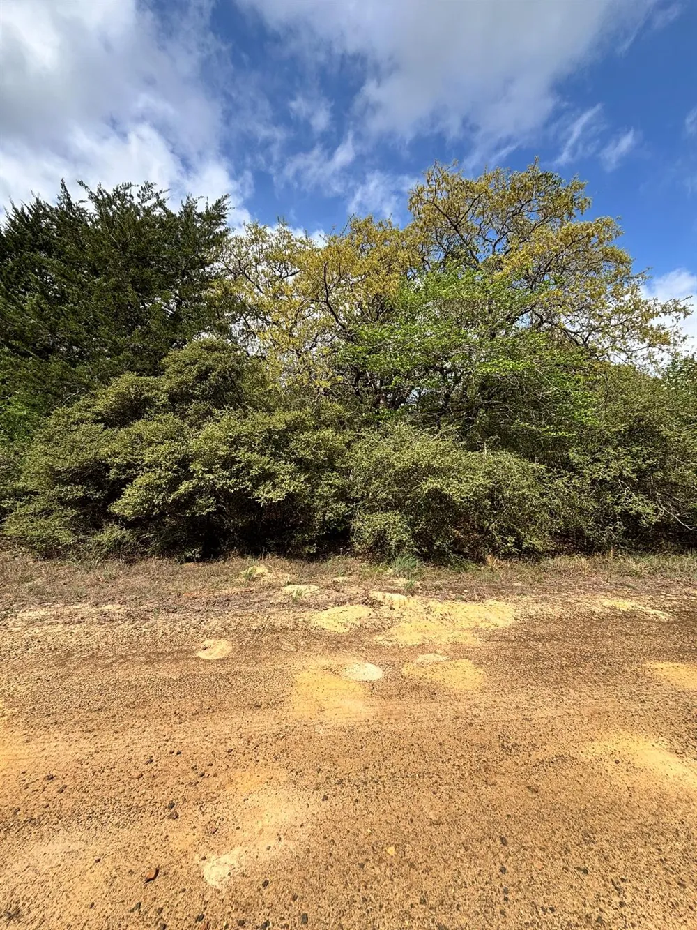 Holly Springs Drive Hilltop Lakes, TX 77871
