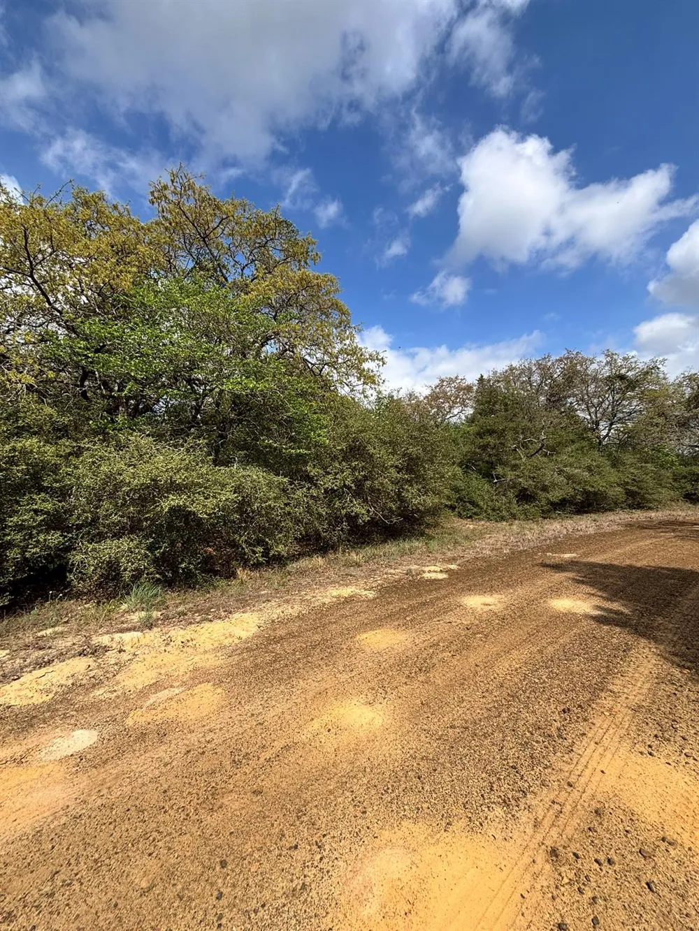Holly Springs Drive Hilltop Lakes, TX 77871