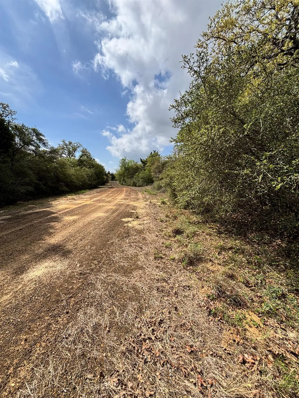 Holly Springs Drive Hilltop Lakes, TX 77871