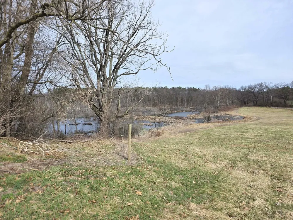12409 Bellevue Road Convis Township, MI 49014