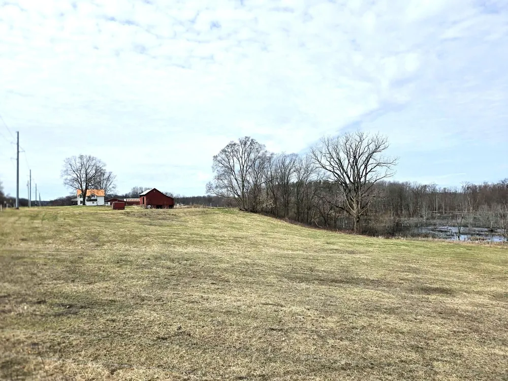 12409 Bellevue Road Convis Township, MI 49014