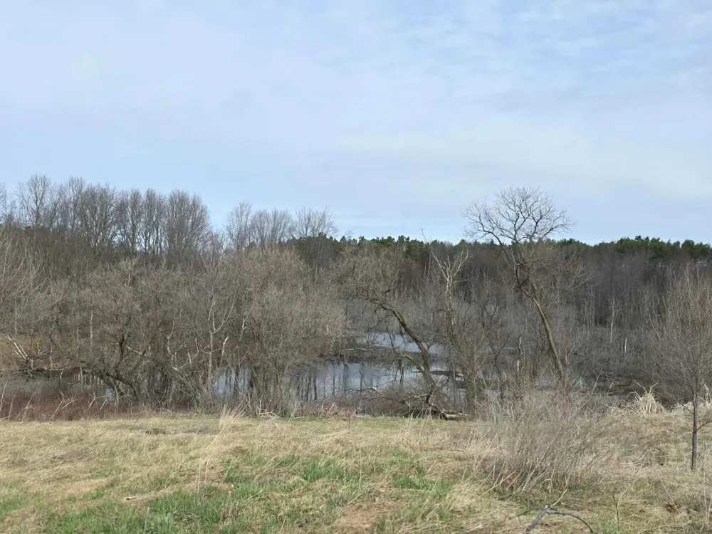 12409 Bellevue Road Convis Township, MI 49014