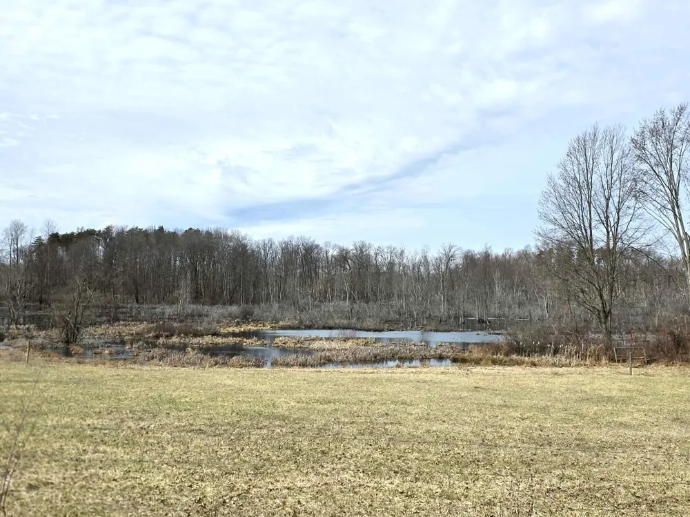 12409 Bellevue Road Convis Township, MI 49014