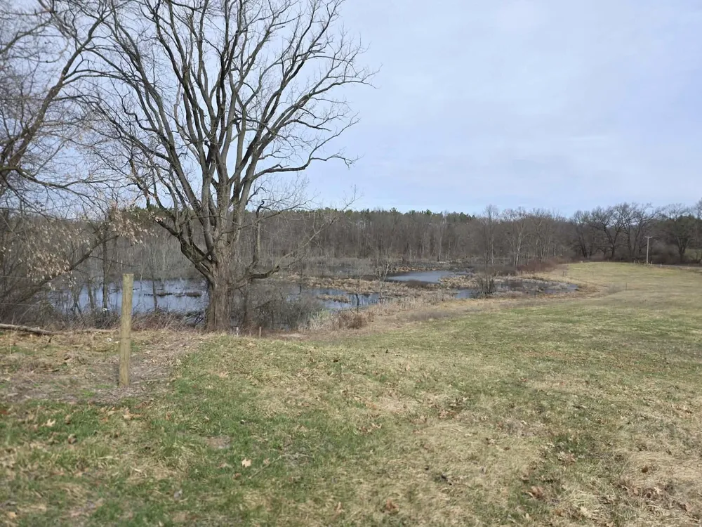 12409 Bellevue Road Convis Township, MI 49014