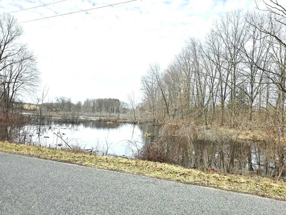 12409 Bellevue Road Convis Township, MI 49014
