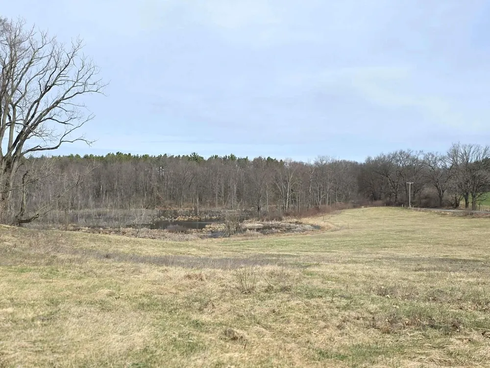 12409 Bellevue Road Convis Township, MI 49014