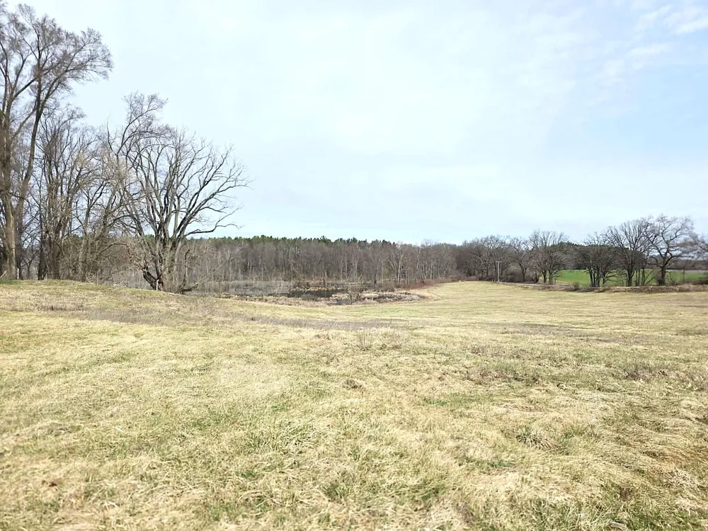 12409 Bellevue Road Convis Township, MI 49014