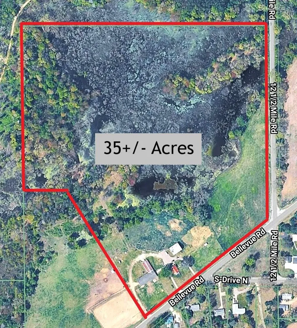 12409 Bellevue Road Convis Township, MI 49014