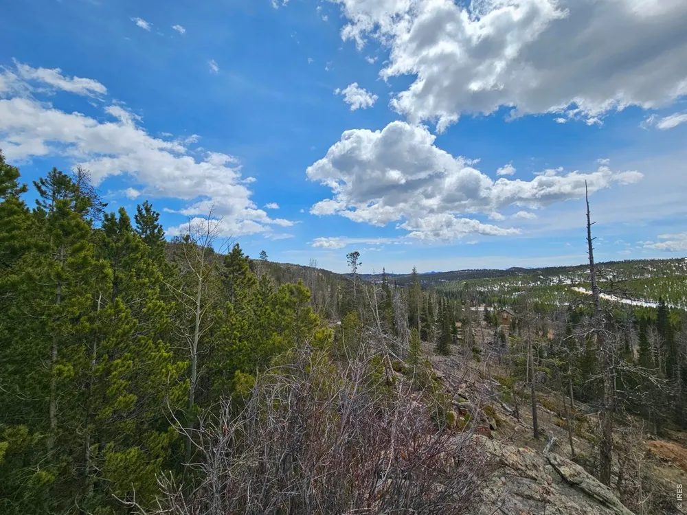 227 Micmac Drive Red Feather Lakes, CO 80545