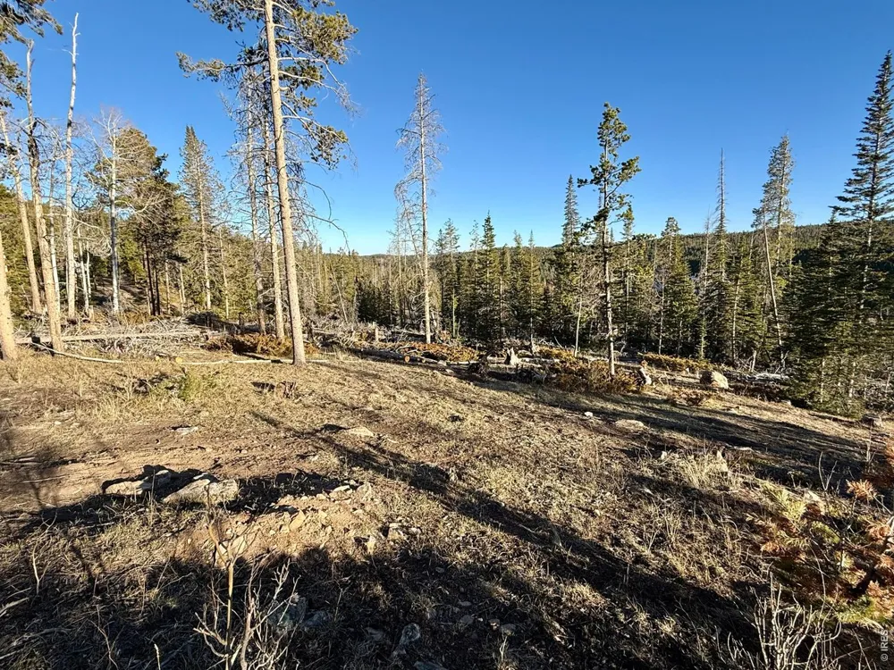 227 Micmac Drive Red Feather Lakes, CO 80545