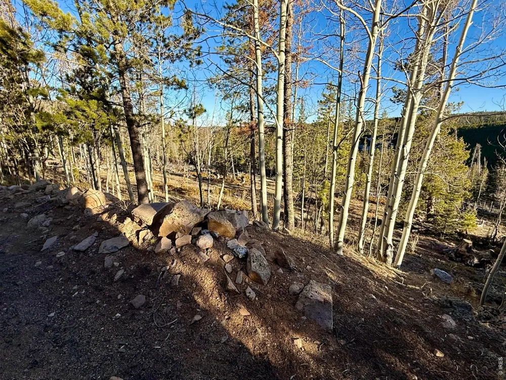 227 Micmac Drive Red Feather Lakes, CO 80545