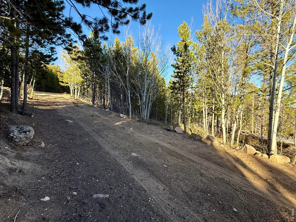 227 Micmac Drive Red Feather Lakes, CO 80545