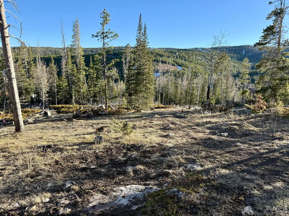 227 Micmac Drive Red Feather Lakes, CO 80545