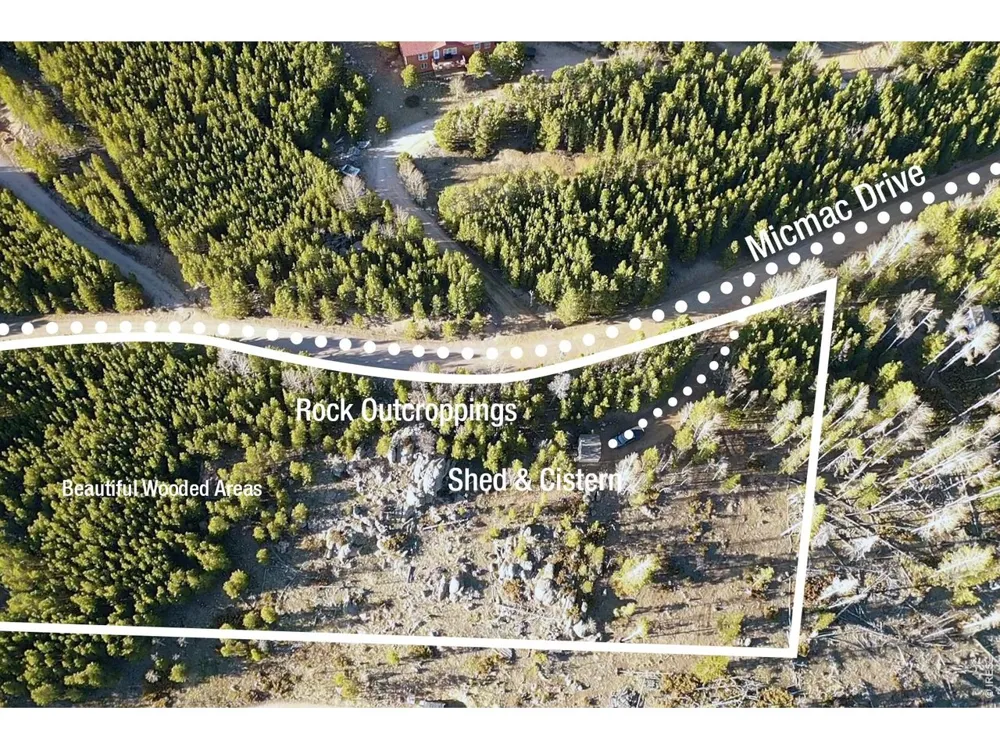 227 Micmac Drive Red Feather Lakes, CO 80545