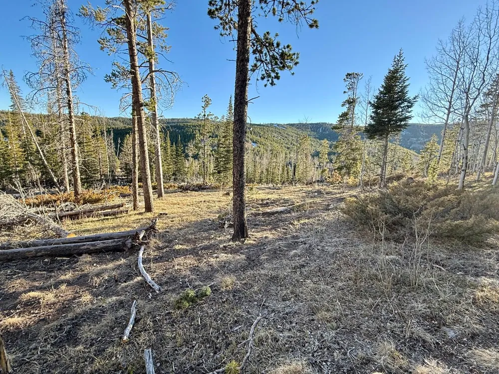 227 Micmac Drive Red Feather Lakes, CO 80545
