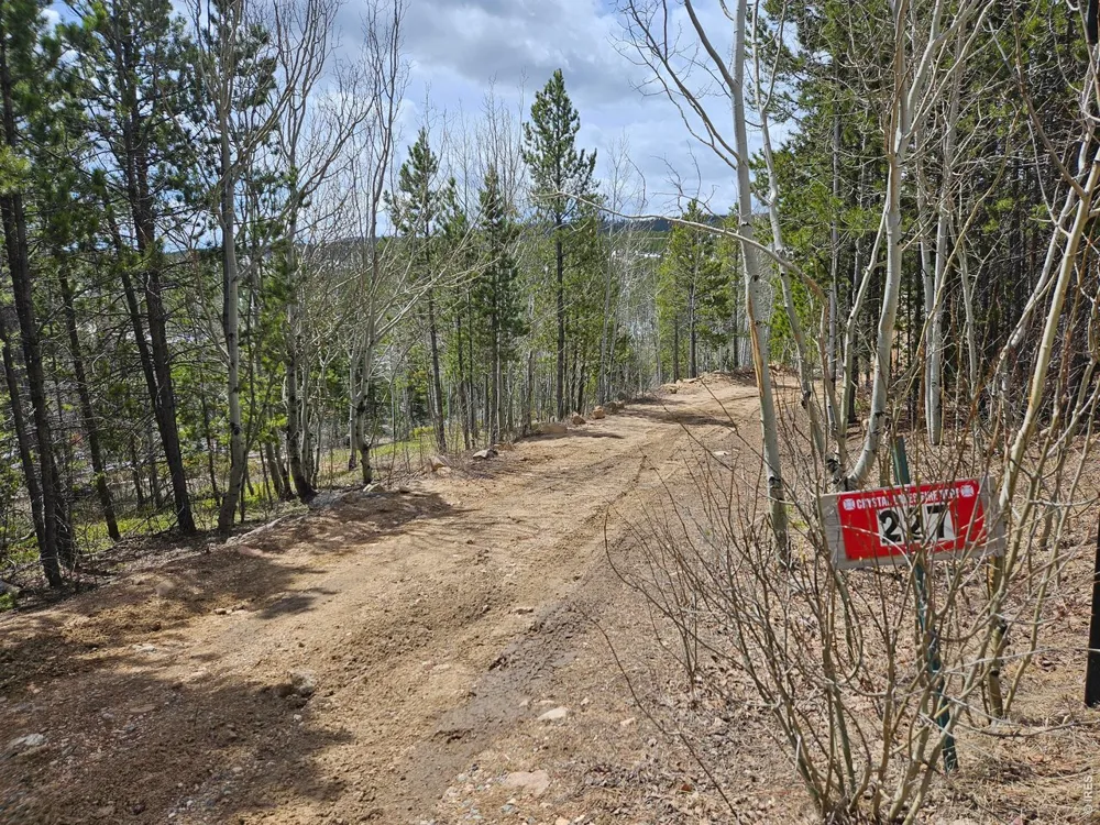 227 Micmac Drive Red Feather Lakes, CO 80545