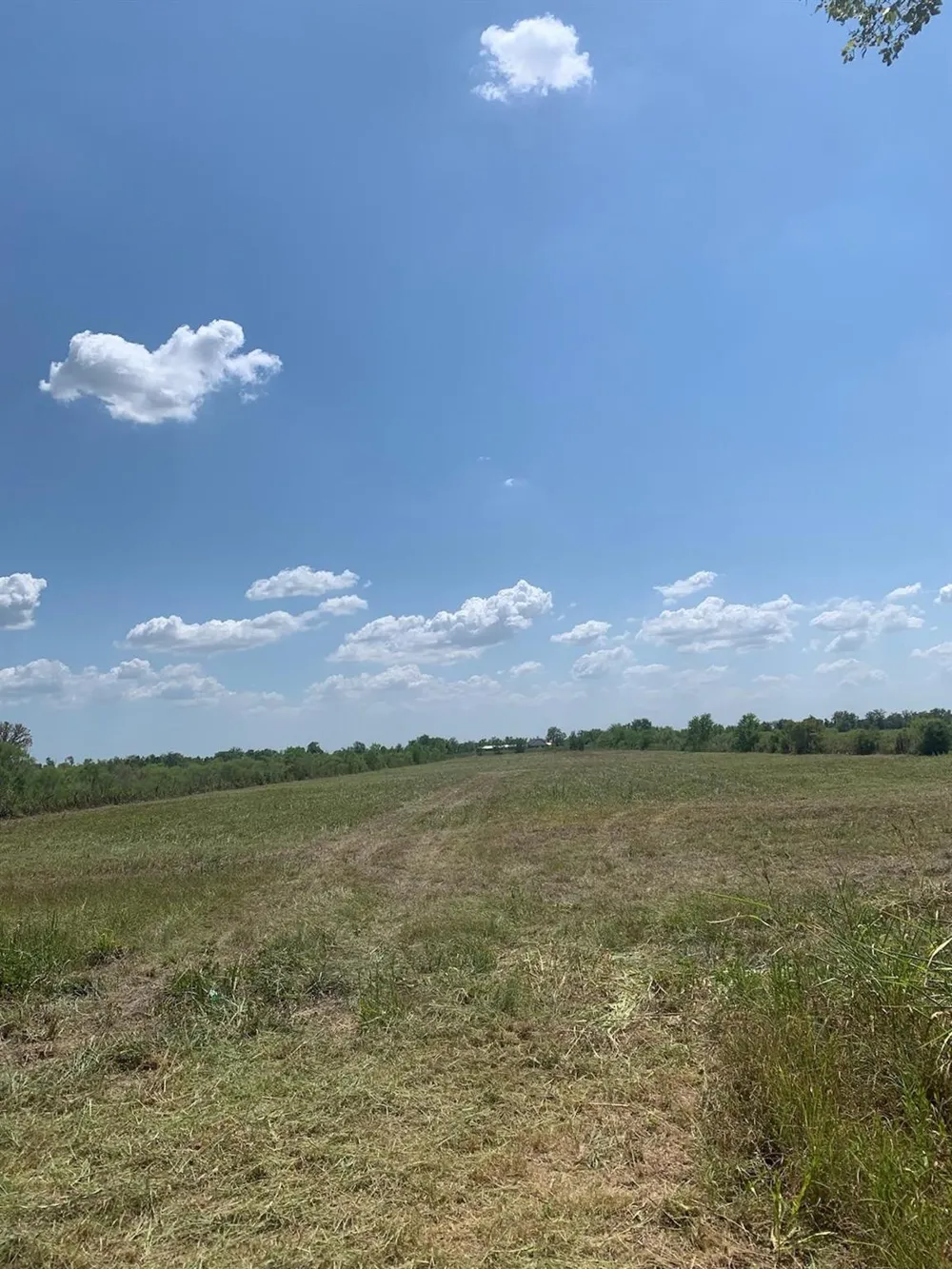 1585 Fm 686 Dayton, TX 77535
