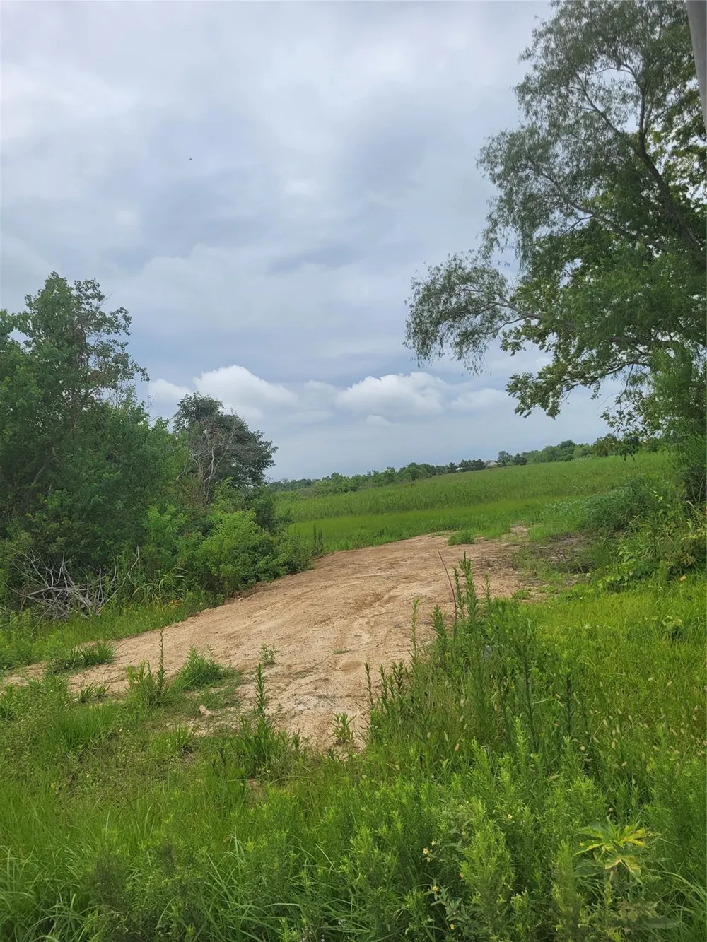 1585 Fm 686 Dayton, TX 77535