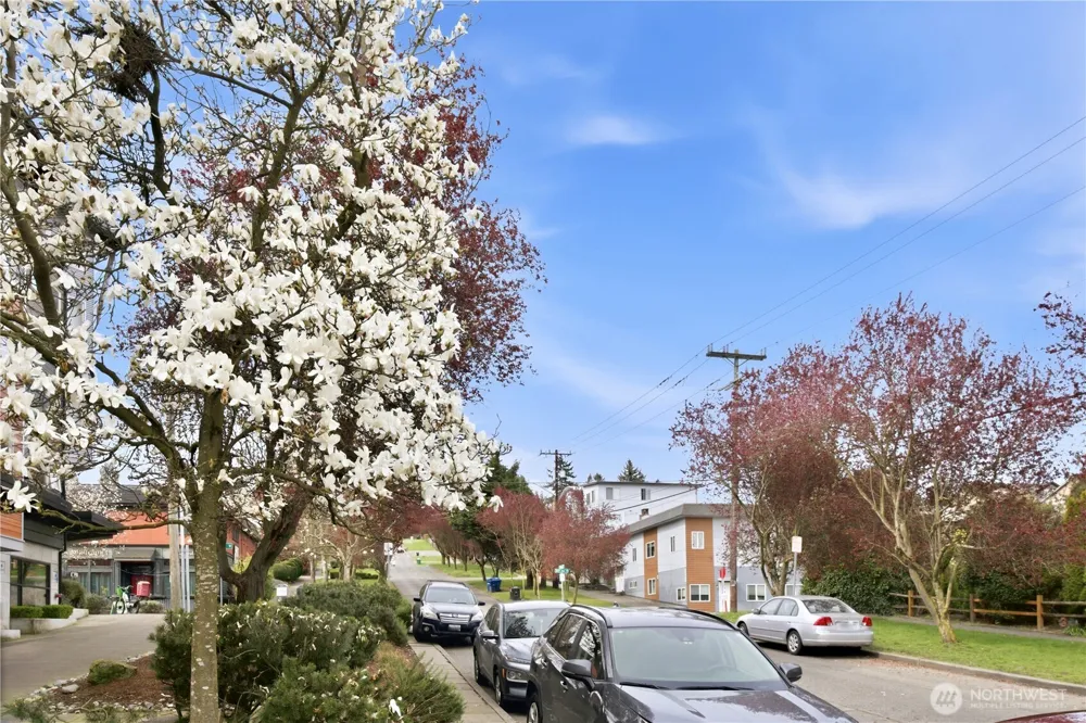 3045 20th Avenue W #403 Seattle, WA 98199