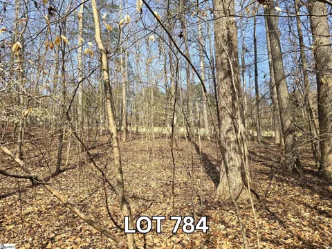 Lot 784 S Hogan Drive